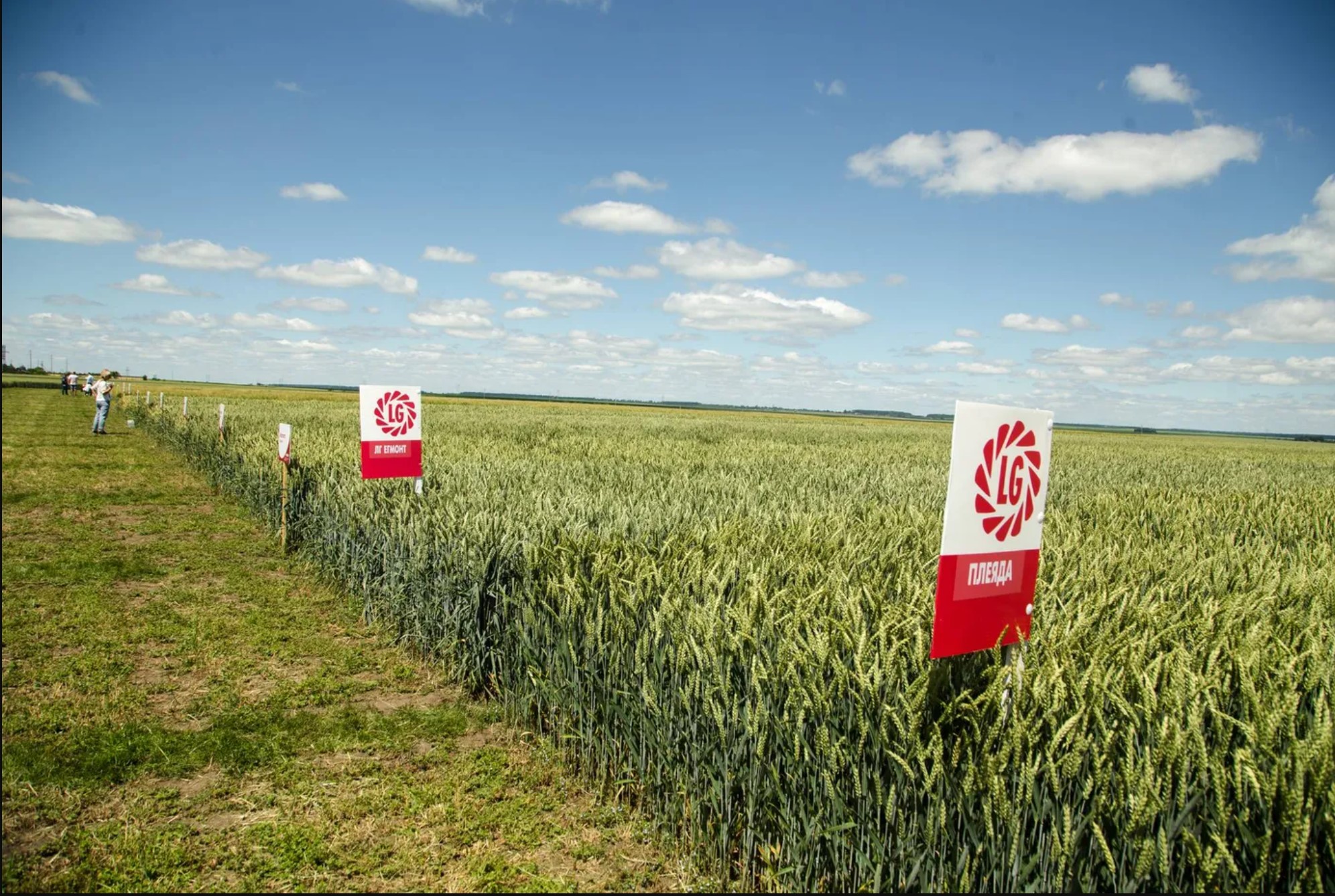 🌾 Форум аграрних інновацій «Нове Зернятко – 2026»