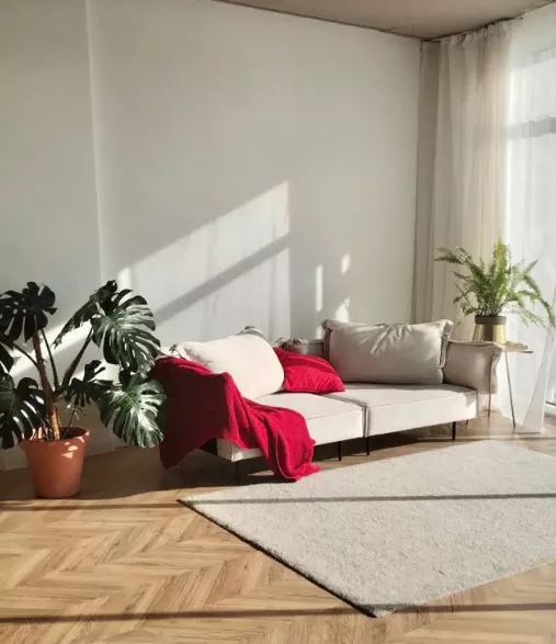  📸 Фотостудія СОЛЬ Одеса — 2 зали + зйомка біля моря від 600 грн