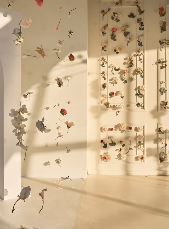 📸 Roof Space — фотостудія з терасою 420 м² в Одесі ☀️