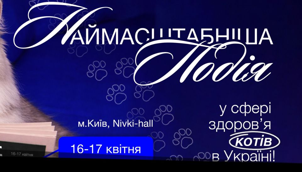 VetSkills: експерти у здоров’ї котів для ветеринарів власників клінік