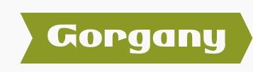 🏔️ Gorgany Race в диких Горганах – найбільша авантюра твого літа. logo