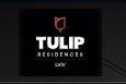 TULIP Residences Lviv — конференц-пространство во Львове до 60 гостей. logo