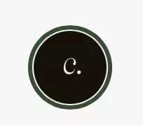 CAPSULA by B STUDIO — камерна фотостудія в Києві logo