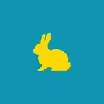 Yellow Rabbit — фотостудія з п’ятьма залами для фото- та відеозйомок  logo